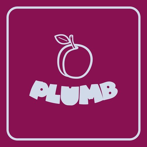 ANGRY,RAY / QUESTLOVE / MURRAY,DAVID - PLUMB - RECORD