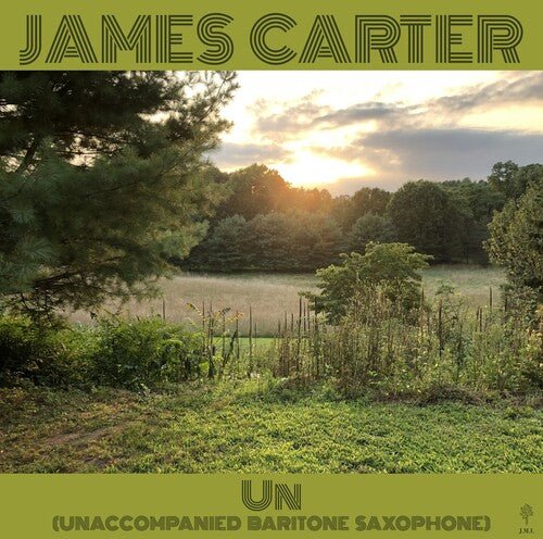 CARTER,JAMES - UN (UNACCOMPANIED BARITONE SAXOPHONE) - RECORD