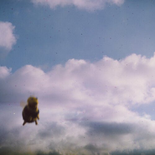 POND - STUNG - RECORD