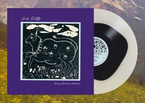DELFFS,NICK - TRANSITIONAL PHASE - RECORD