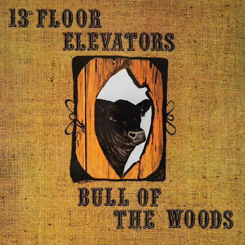 13TH FLOOR ELEVATORS - BULL OF THE WOODS - RECORD
