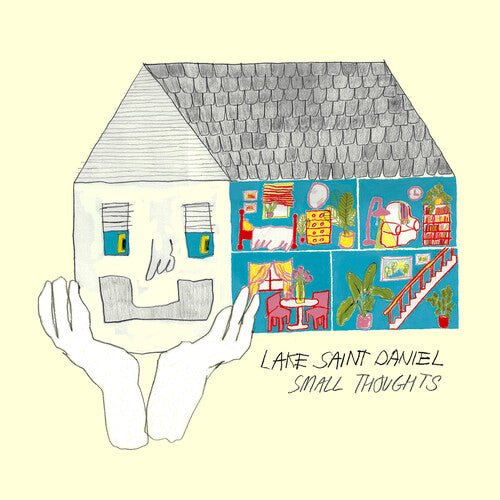 LAKE SAINT DANIEL - SMALL THOUGHTS - RECORD