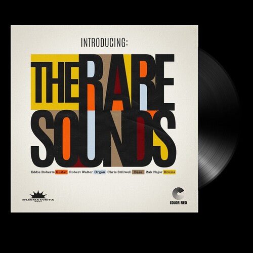RARE SOUNDS - INTRODUCING: THE RARE SOUNDS - RECORD