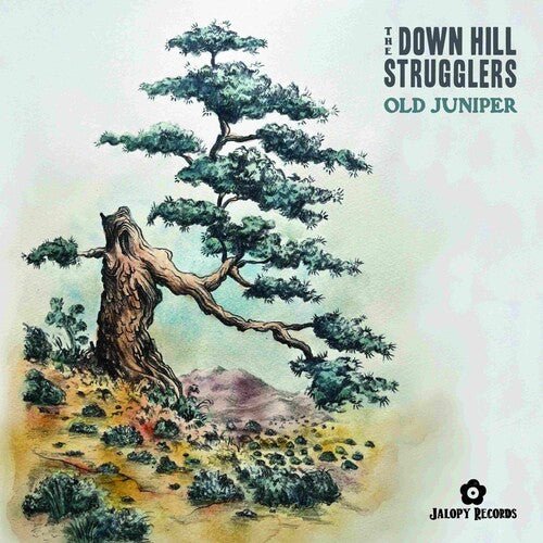 DOWN HILL STRUGGLERS - OLD JUNIPER - RECORD