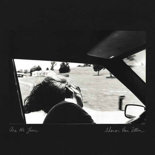 VAN ETTEN,SHARON - ARE WE THERE (10 YEAR ANNIVERSARY EDITION) - RECORD