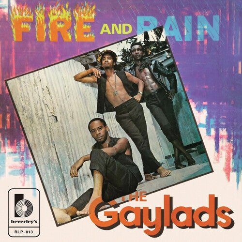 GAYLADS - FIRE AND RAIN - RECORD