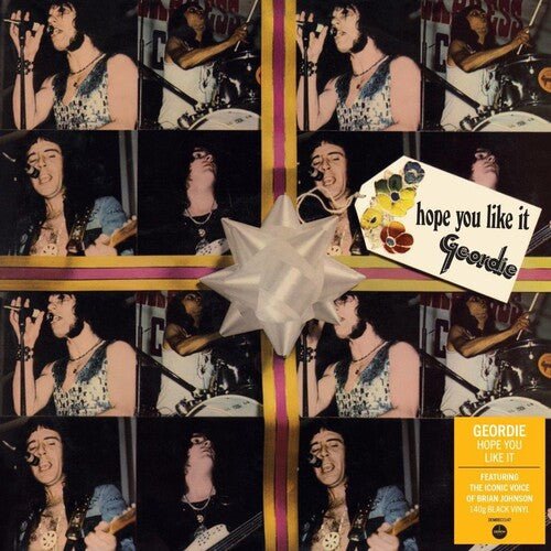 GEORDIE - HOPE YOU LIKE IT - RECORD