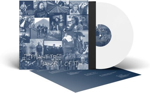 ELEPHANT TREE - HANDFUL OF TEN - RECORD