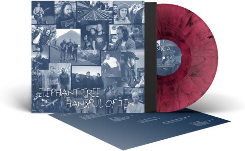 ELEPHANT TREE - HANDFUL OF TEN - RECORD