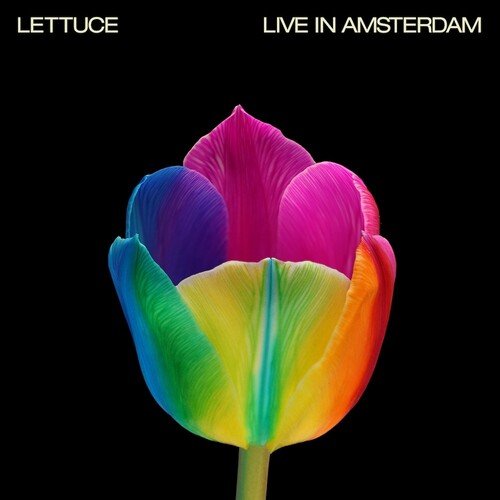LETTUCE - LIVE IN AMSTERDAM - RECORD