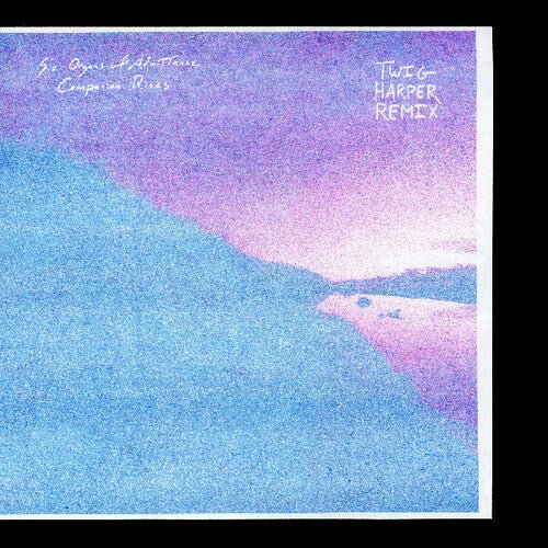 SIX ORGANS OF ADMITTANCE - COMPANION RISES (TWIG HARPER REMIX) - RECORD