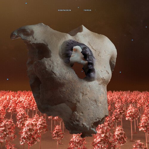 SOAP&SKIN - TORSO - RECORD