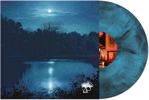 PLANES MISTAKEN FOR STARS - DO YOU STILL LOVE ME? - RECORD