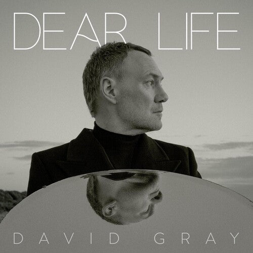 GRAY,DAVID - DEAR LIFE - RECORD