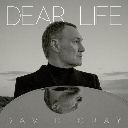 GRAY,DAVID - DEAR LIFE - SEAWEED GREEN - RECORD