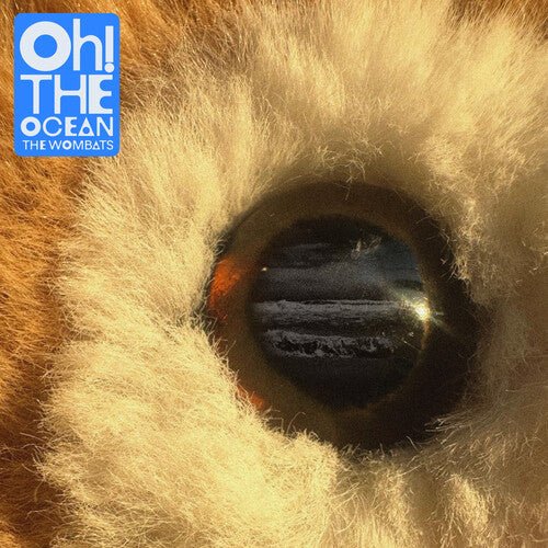 WOMBATS - OH THE OCEAN - RECORD