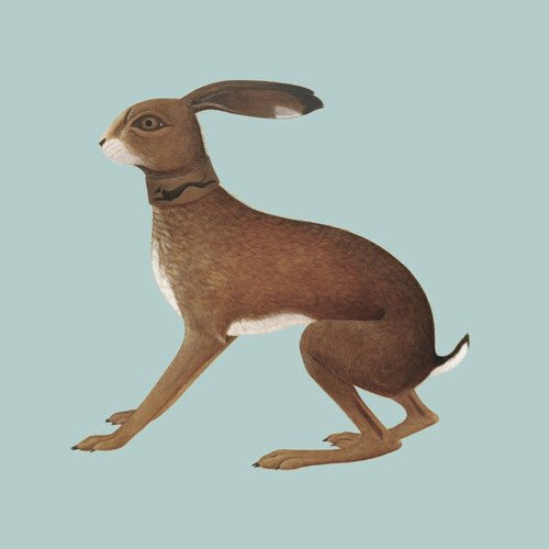 BUNYAN,VASHTI - LOOKAFTERING ( EXPANDED ) - RECORD