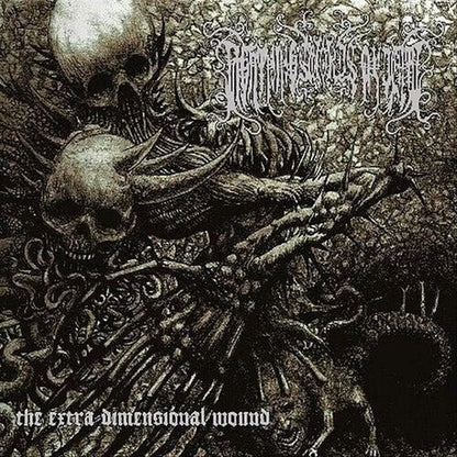 LIGHTNING SWORDS OF DEATH - EXTRA DIMENSIONAL WOUND - LIMITED EDITION - RECORD