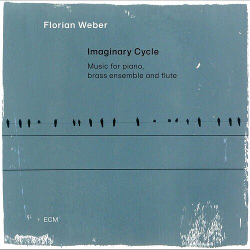 WEBER,FLORIAN - IMAGINARY CYCLE - RECORD