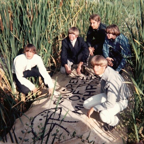 CHILDREN OF THE MUSHROOM - RECORD