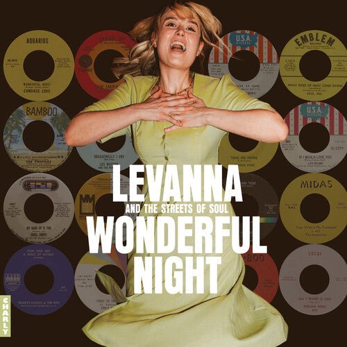 WONDERFUL NIGHT CURATED BY LEVANNA / VARIOUS - RECORD