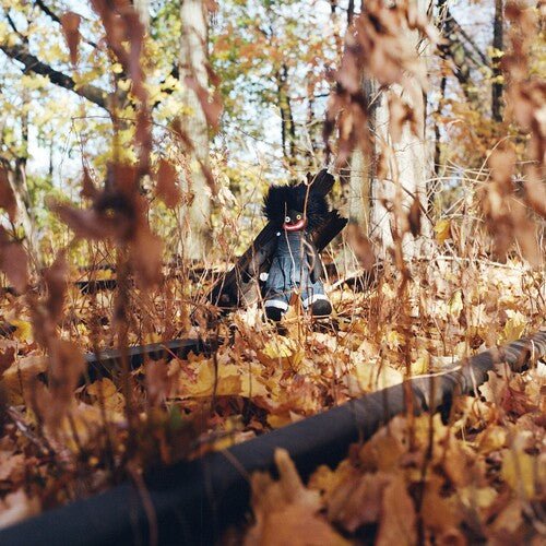 WOODS,BILLY - GOLLIWOG - RECORD