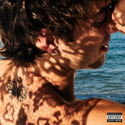 SEAVEY,DANIEL - SECOND WIND - RECORD