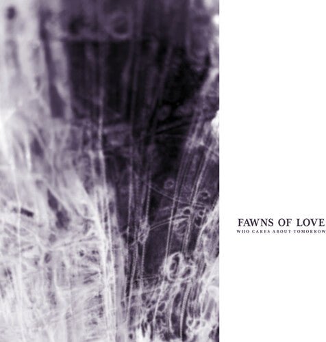 FAWNS OF LOVE - WHO CARES ABOUT TOMORROW - RECORD