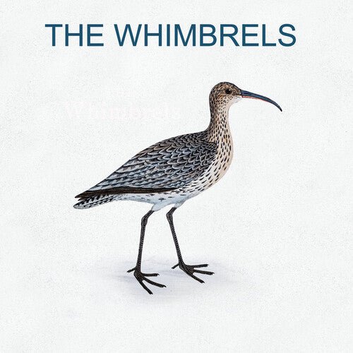 WHIMBRELS - RECORD