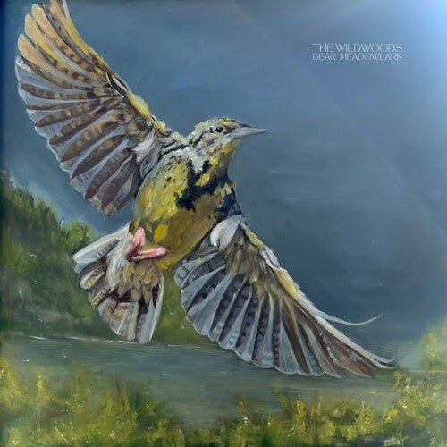 WILDWOODS - DEAR MEADOWLARK - RECORD