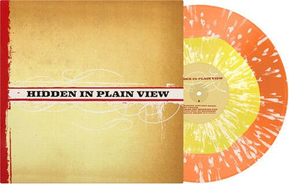 HIDDEN IN PLAIN VIEW - RECORD