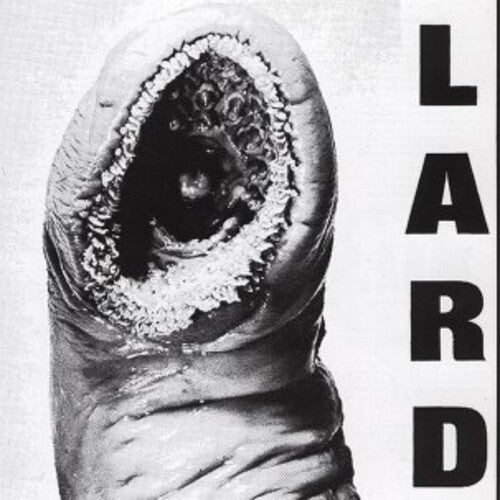 LARD - POWER OF LARD - WHITE - RECORD