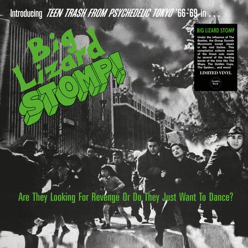 BIG LIZARD STOMP (TEEN TRASH FROM PSYCHEDELIC / VA - RECORD