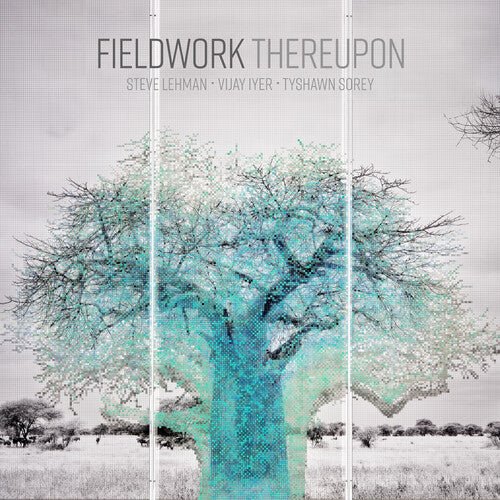 FIELDWORK - THEREUPON - RECORD