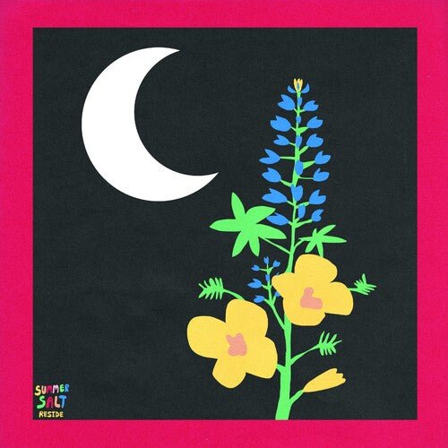 SUMMER SALT - RESIDE - RECORD