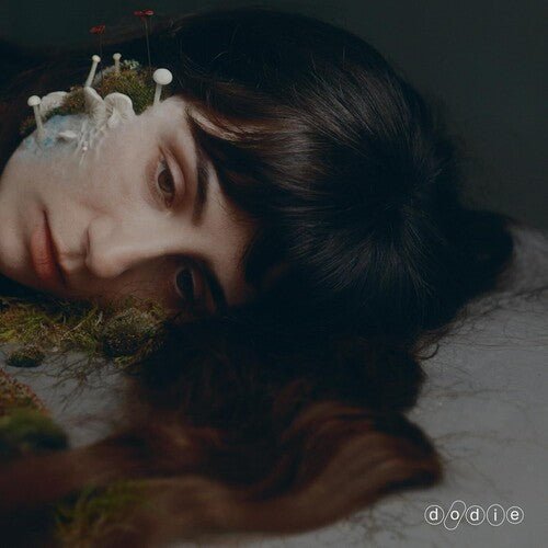 DODIE - NOT FOR LACK OF TRYING - RECORD