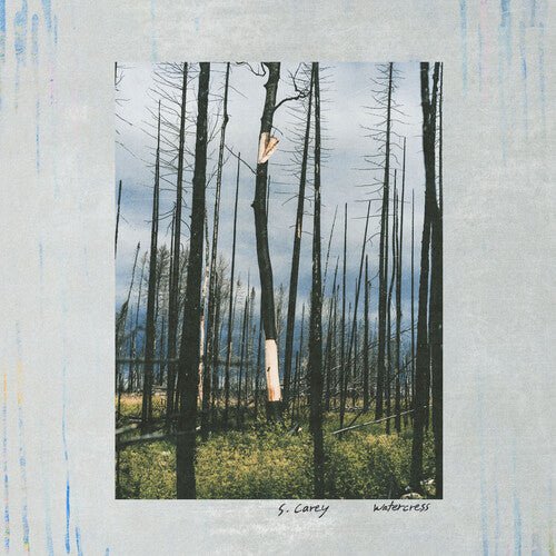 S. CAREY - WATERCRESS - RECORD