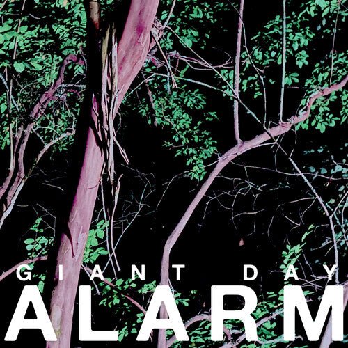GIANT DAY - ALARM - RECORD