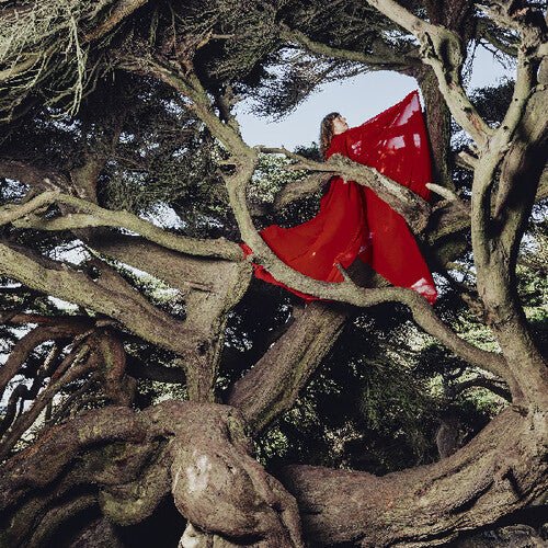 FRANCES,HANNAH - NESTED IN TANGLES - RECORD