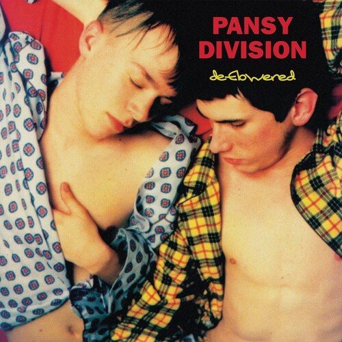 PANSY DIVISION - DEFLOWERED - RECORD