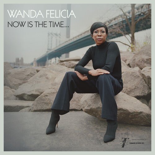 WANDA FELICIA / COLD DIAMOND & MINK - NOW IS THE TIME - PINK - RECORD
