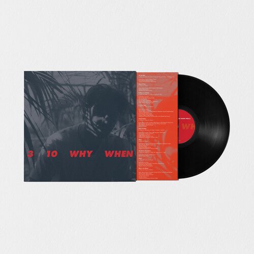 WOON,JAMIE - 3 10 WHY WHEN - RECORD