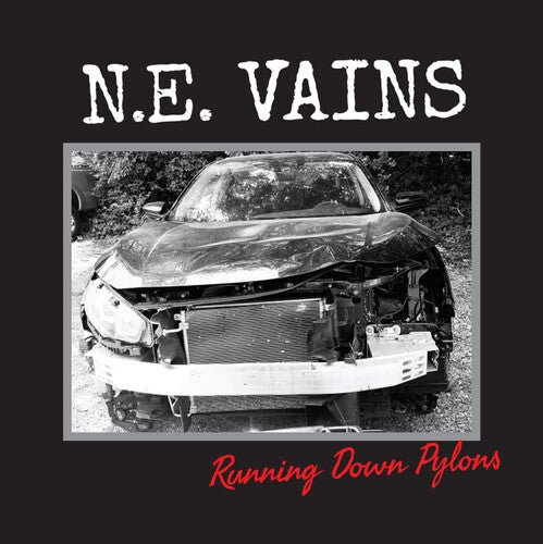NE VAINS - RUNNING DOWN PYLONS - RECORD