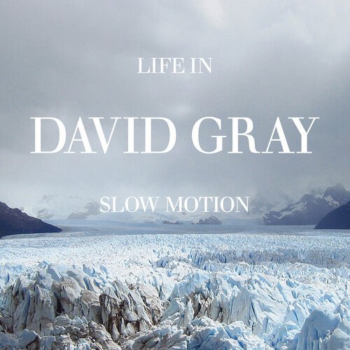 GRAY,DAVID - LIFE IN SLOW MOTION (20TH ANNIVERSARY EDITION) - RECORD