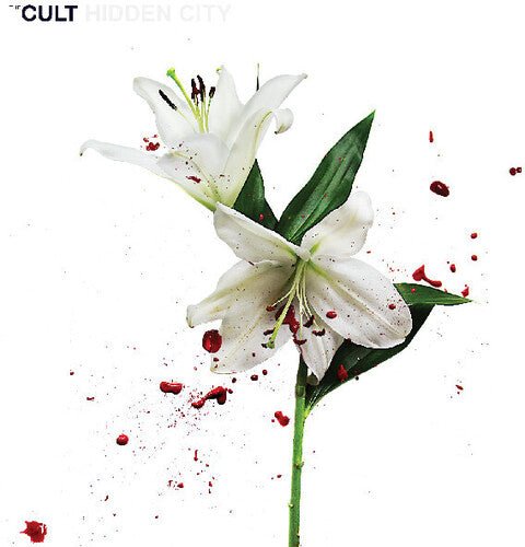 CULT - HIDDEN CITY - RECORD
