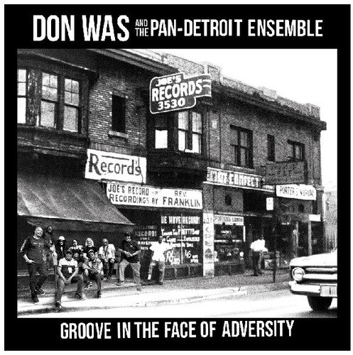 WAS,DON - GROOVE IN THE FACE OF ADVERSITY - RECORD