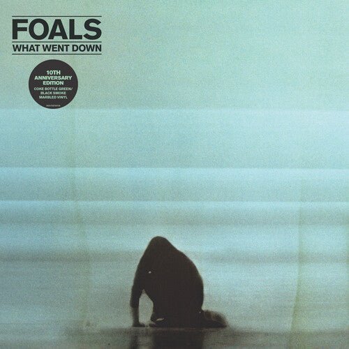 FOALS - WHAT WENT DOWN - RECORD