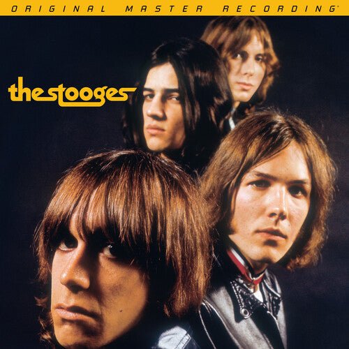 STOOGES - RECORD