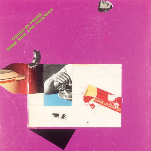 GUIDED BY VOICES - THICK RICH & DELICIOUS - RECORD