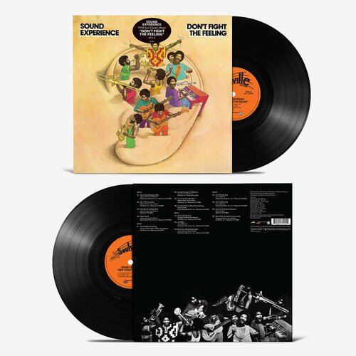 SOUND EXPERIENCE - DON'T FIGHT THE FEELING - RECORD